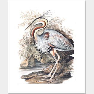 The Heron by Elizabeth Gwillim Posters and Art